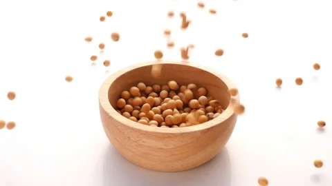 Slow Motion of Soybean Falling in wooden bowl on white background Video stock 143391553