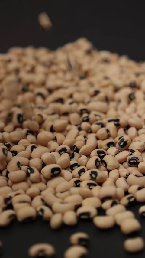 Slow motion of a soybean Stock Footage 317732074