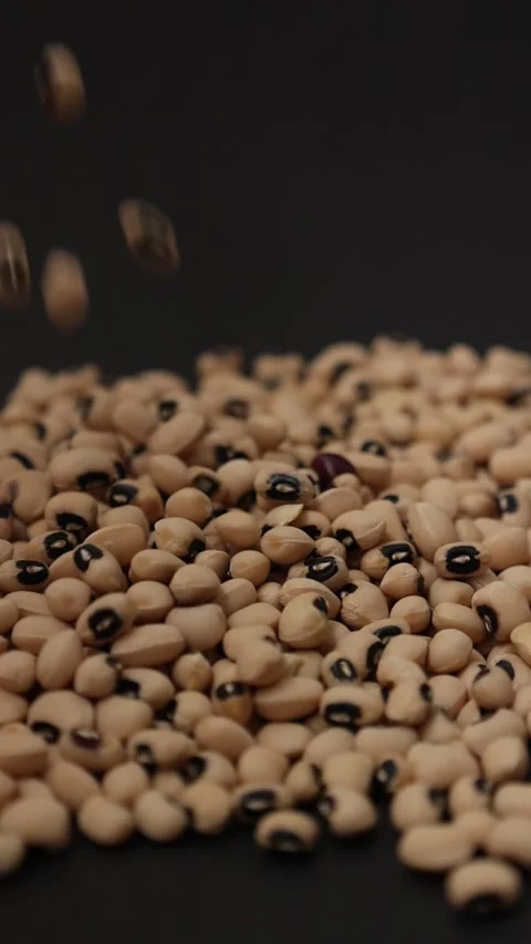 Slow motion of a soybean Stock Footage 317732077