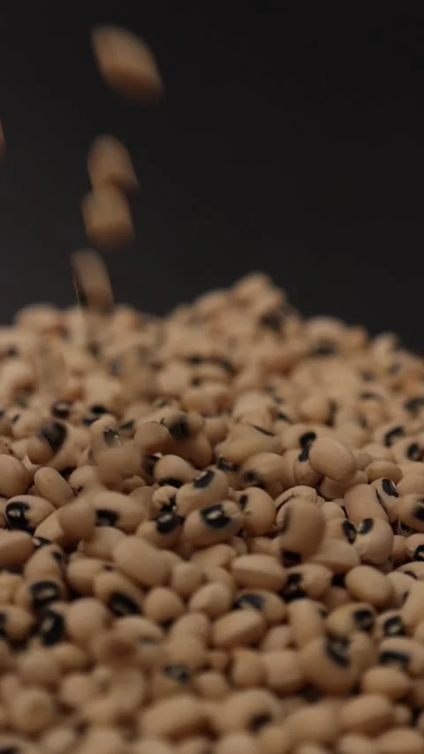 Slow motion of a soybean Stock Footage 317732080