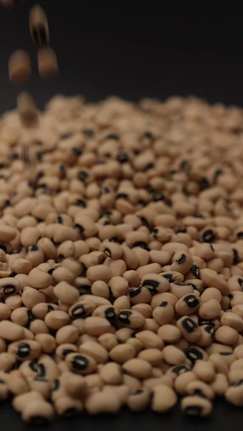 Slow motion of a soybean Stock Footage 317732082