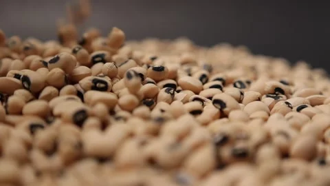 Slow motion of a soybean Stock Footage 317732085