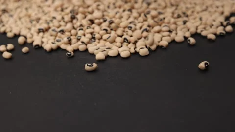Slow motion of a soybean Stock Footage 317732088