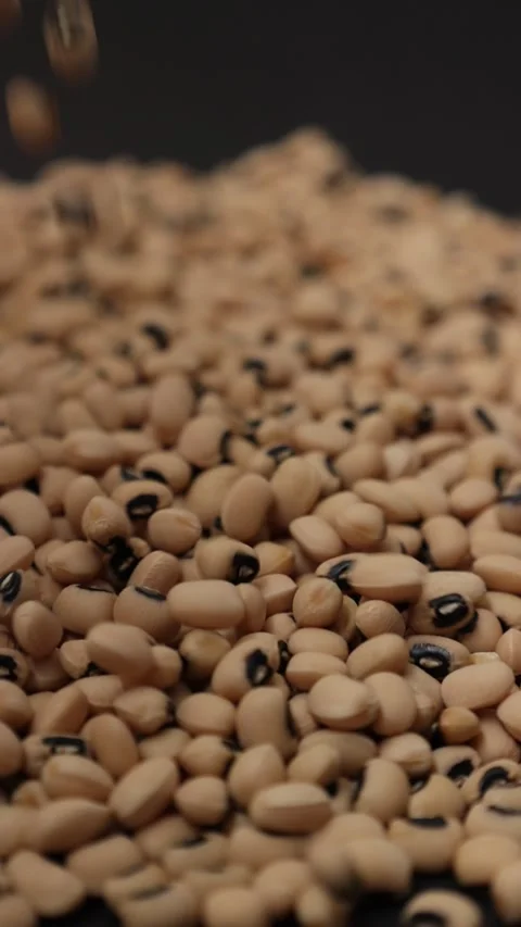 Slow motion of a soybean Stock Footage 317732104