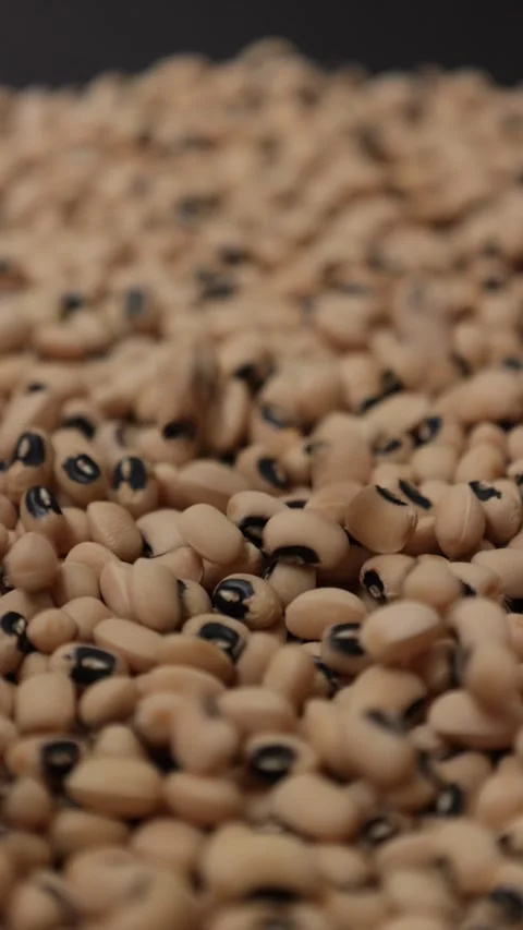 Slow motion of a soybean Stock Footage 317732112