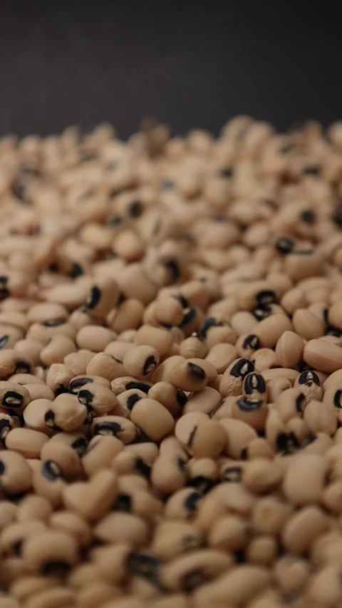 Slow motion of a soybean Stock Footage 317732120
