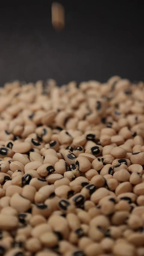 Slow motion of a soybean Stock Footage 317732132