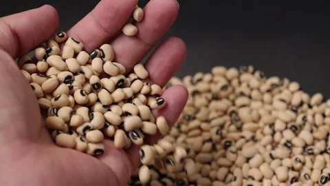 Slow motion of a soybean Stock Footage 317732152