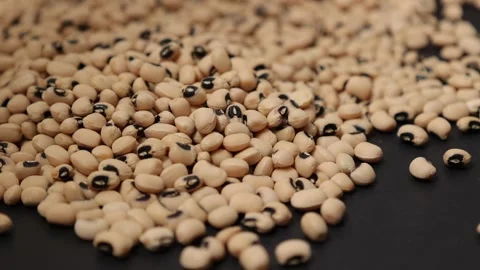 Slow motion of a soybean seed Stock Footage 317732108