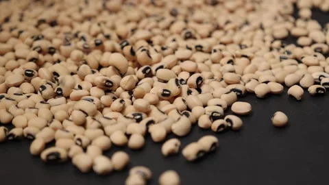 Slow motion of a soybean seed Stock Footage 317732110