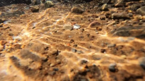 Slow motion of sparkling on the bottom of a shallow and rocky mountain river Stock Footage 319876367