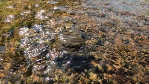 Slow motion of sparkling clear river flow with rocky bottom. Stock Footage 299401329