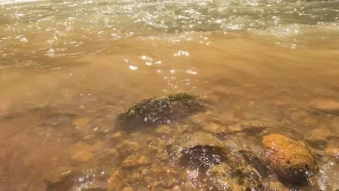 Slow motion of sparkling river water waves on the gravelly river bank Stock Footage 307431300