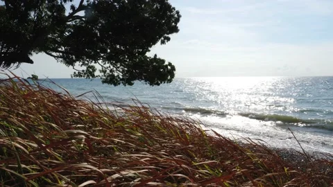 Slow motion, sparkling sea, waves surging on the beach, reflecting the rays of Video stock 130904031