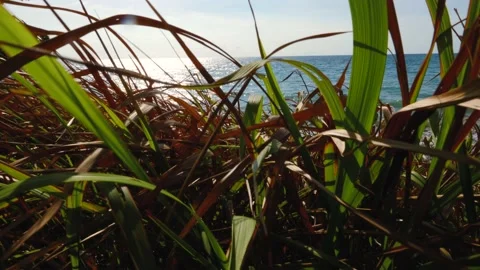 Slow motion, sparkling sea, waves surging on the beach, reflecting the rays of Stock Footage 130904897