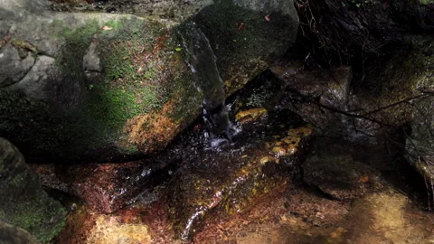 Slow motion of a sparkling stream on Mt. Kinkasan. FullHD Stock Footage 328644804