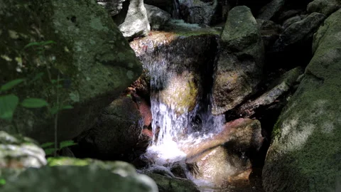 Slow motion of a sparkling stream on Mt. Kinkasan. 4K. Stock Footage 328644806