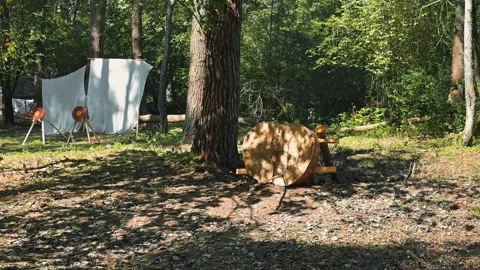 Slow motion of a spear flying towards a wooden target in the forest 库存影片 345036585