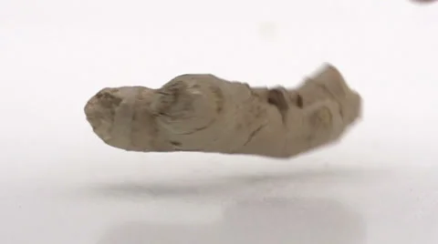 Slow motion spinning ginger Stock Footage 33801444