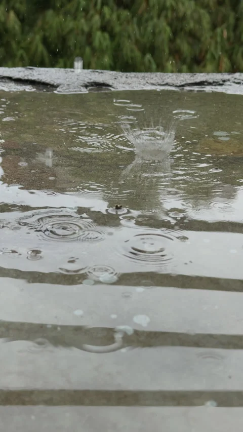 Slow-motion splash of raindrops on wet pavement Stock Footage 313756955