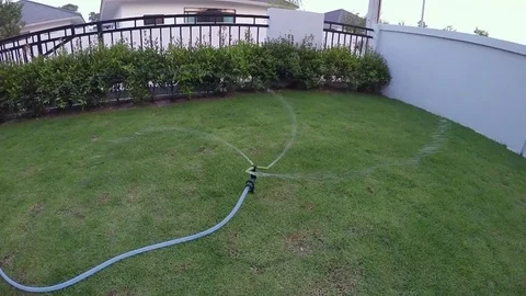 Slow motion Sprinkle water on grass at evening Stock Footage 79484751