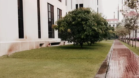 Slow motion of sprinkle watering tree and grass on the sidewalk Stock-Footage 102173932