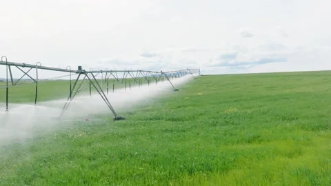 Slow motion of sprinkler irrigation system irrigating a crop field. Stock Footage 241440959