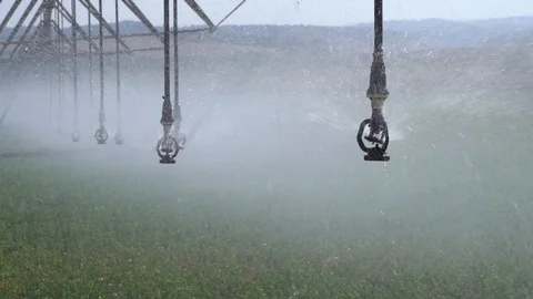 Slow motion sprinklers Stock Footage 113951561