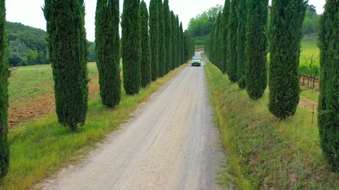 Slow motion stabilized shot - Famous cypress trees row along Tuscany road by POV Stock Footage 128757244