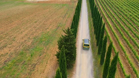 Slow motion stabilized shot - Famous cypress trees row along Tuscany road by POV Stock Footage 128767418