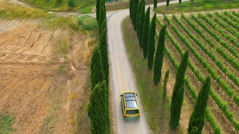 Slow motion stabilized shot - Famous cypress trees row along Tuscany road by POV Stock Footage 128767464