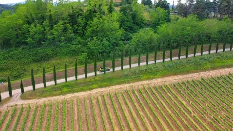 Slow motion stabilized shot - Famous cypress trees row along Tuscany road by POV Stock Footage 128767505
