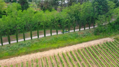 Slow motion stabilized shot - Famous cypress trees row along Tuscany road by POV Stock Footage 128767529