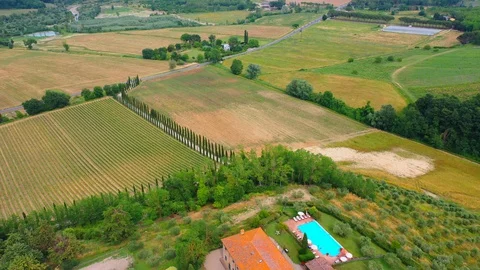Slow motion stabilized shot - Famous cypress trees row along Tuscany road by POV Stock Footage 128767638