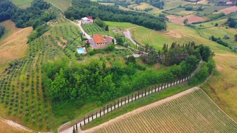 Slow motion stabilized shot - Famous cypress trees row along Tuscany road by POV Stock Footage 128767672