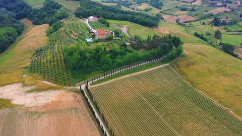 Slow motion stabilized shot - Famous cypress trees row along Tuscany road by POV Stock Footage 128767710