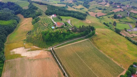 Slow motion stabilized shot - Famous cypress trees row along Tuscany road by POV Stock Footage 128767788
