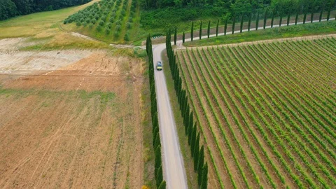Slow motion stabilized shot - Famous cypress trees row along Tuscany road by POV Stock Footage 128767856