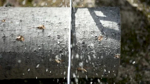 Slow motion straight on view of chainsaw cutting a log in slow motion with saw Stock Footage 150509169
