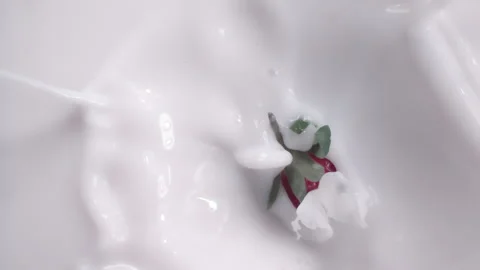 Slow motion: Strawberry dropping into milk or cream. UHD25p Stock Footage 249604450