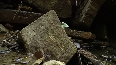 Slow motion stream, Alta Badia Stock-Footage 79506651