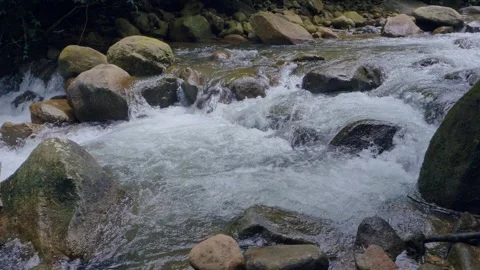 Slow motion stream and waterfall in rain forest. river in the jungle. Stockbeeldmateriaal 232967039