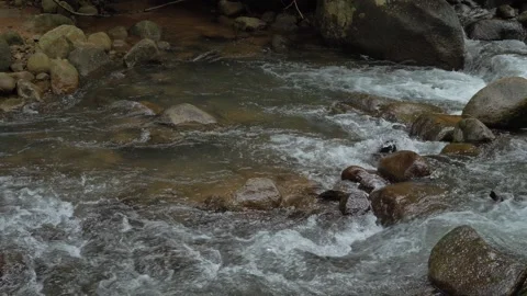 Slow motion stream and waterfall Stockbeeldmateriaal 232967251