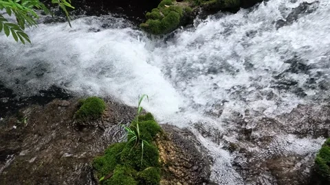 Slow Motion Stream Cascading Over Mossy Rocks Stock Footage 345977645