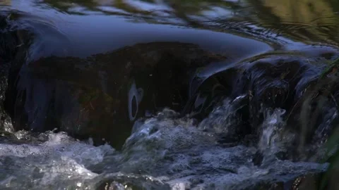 Slow Motion Stream Flow Through a Peaceful Natural Landscape Stock Footage 346550165