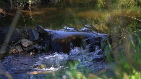 Slow Motion Stream Flow Through a Peaceful Natural Landscape Stock Footage 346550361