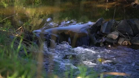 Slow Motion Stream Flow Through a Peaceful Natural Landscape Stock Footage 346550420