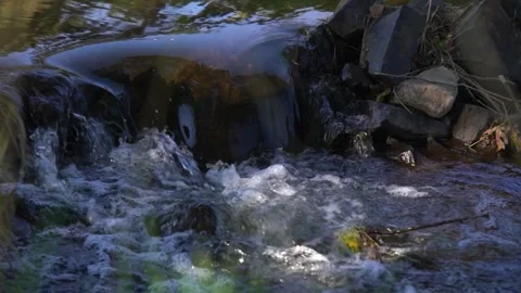 Slow Motion Stream Flow Through a Peaceful Natural Landscape Stock Footage 346550694