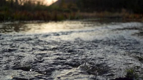 Slow Motion: Stream of the Forest River in the Evening Twilight. Wild River Stock Footage 150816567