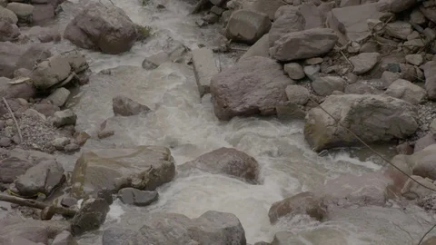 Slow motion stream in the forrest Stock Footage 69772707